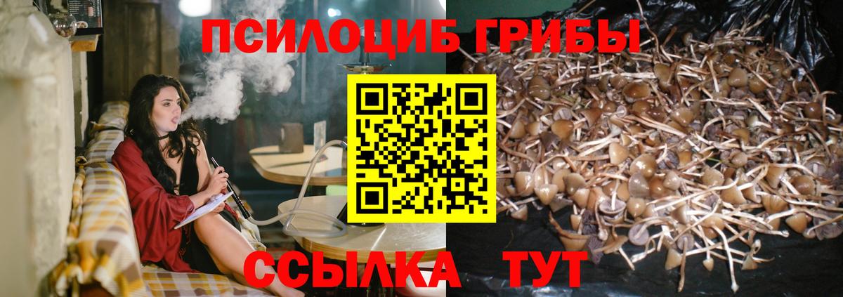 Тобольск  Псилоцибиновые грибы мухоморы  Галлюциногенные грибы прущие грибы  Вход с VPN 